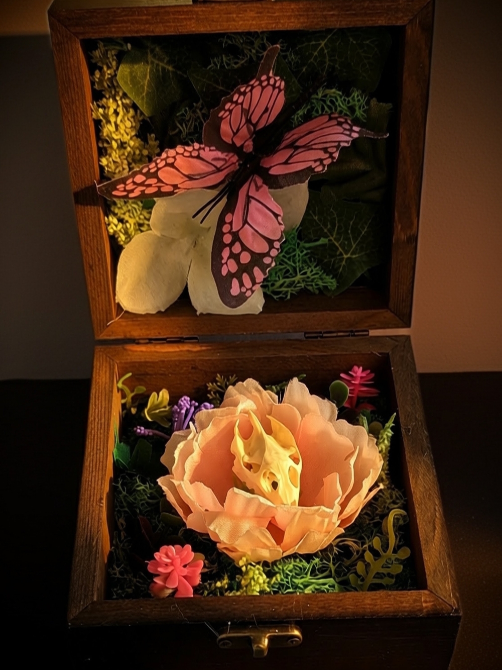Real Turtle Skull Floral Oddity Box – Handmade Curio Display